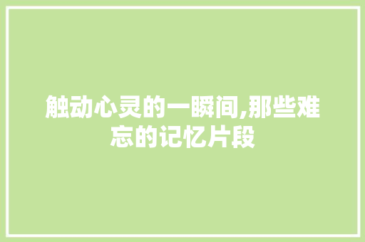 触动心灵的一瞬间,那些难忘的记忆片段