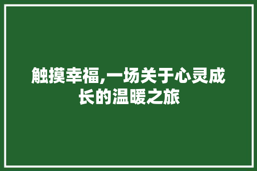 触摸幸福,一场关于心灵成长的温暖之旅