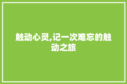 触动心灵,记一次难忘的触动之旅