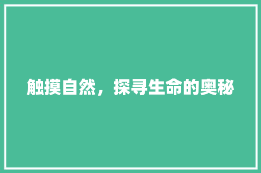 触摸自然，探寻生命的奥秘