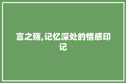 言之殇,记忆深处的情感印记