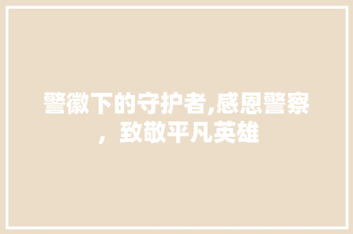 警徽下的守护者,感恩警察，致敬平凡英雄