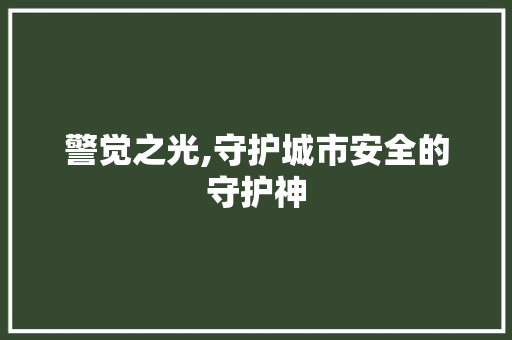 警觉之光,守护城市安全的守护神