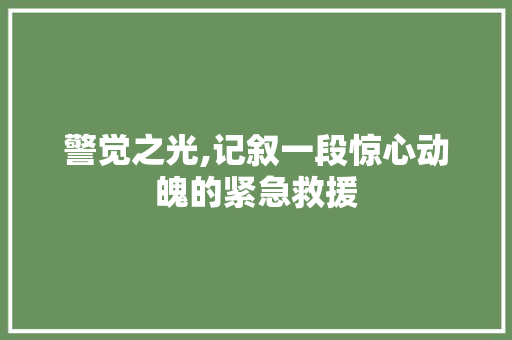 警觉之光,记叙一段惊心动魄的紧急救援