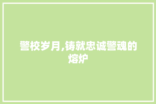 警校岁月,铸就忠诚警魂的熔炉