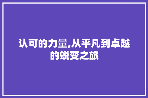 认可的力量,从平凡到卓越的蜕变之旅