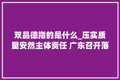 双品德指的是什么_压实质量安然主体责任 广东召开落实两个规定专题指导会