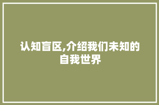 认知盲区,介绍我们未知的自我世界