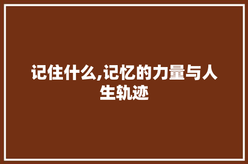 记住什么,记忆的力量与人生轨迹