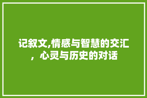 记叙文,情感与智慧的交汇，心灵与历史的对话