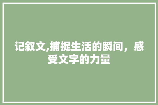 记叙文,捕捉生活的瞬间，感受文字的力量