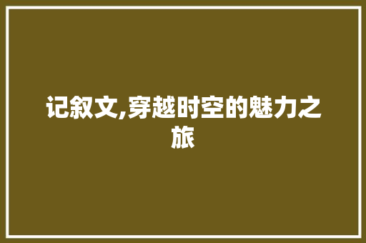 记叙文,穿越时空的魅力之旅