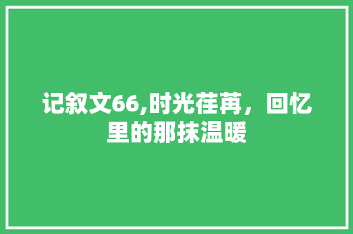 记叙文66,时光荏苒，回忆里的那抹温暖