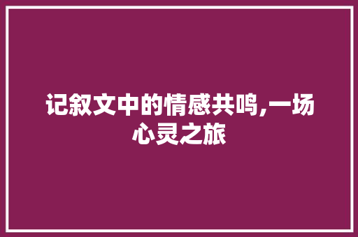 记叙文中的情感共鸣,一场心灵之旅