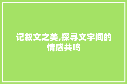 记叙文之美,探寻文字间的情感共鸣