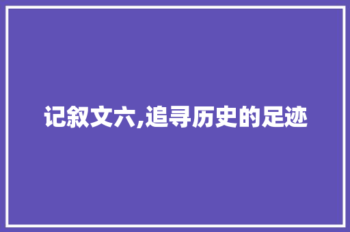 记叙文六,追寻历史的足迹