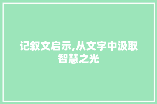 记叙文启示,从文字中汲取智慧之光