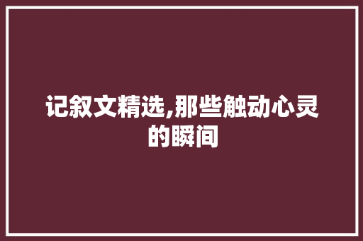 记叙文精选,那些触动心灵的瞬间