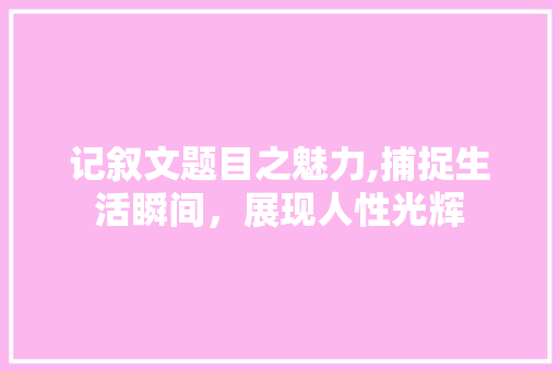 记叙文题目之魅力,捕捉生活瞬间，展现人性光辉