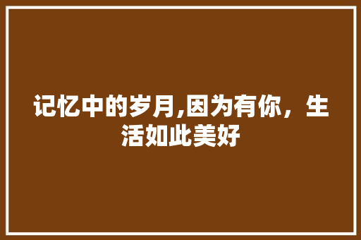 记忆中的岁月,因为有你，生活如此美好