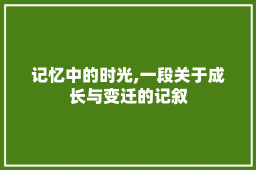 记忆中的时光,一段关于成长与变迁的记叙