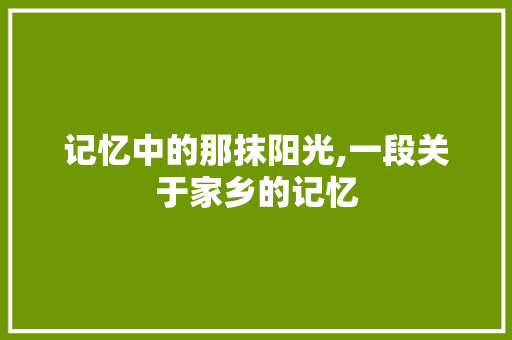 记忆中的那抹阳光,一段关于家乡的记忆