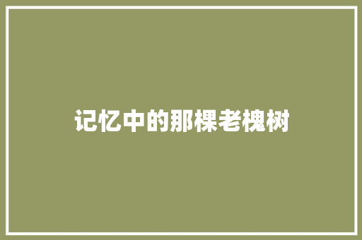 记忆中的那棵老槐树