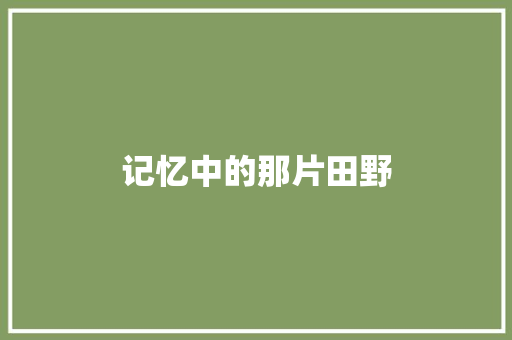 记忆中的那片田野