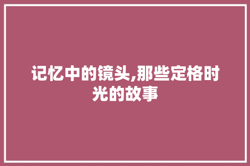 记忆中的镜头,那些定格时光的故事