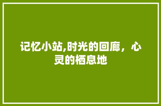 记忆小站,时光的回廊，心灵的栖息地