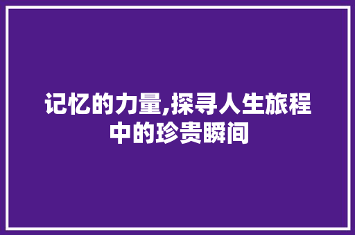 记忆的力量,探寻人生旅程中的珍贵瞬间