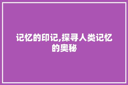 记忆的印记,探寻人类记忆的奥秘