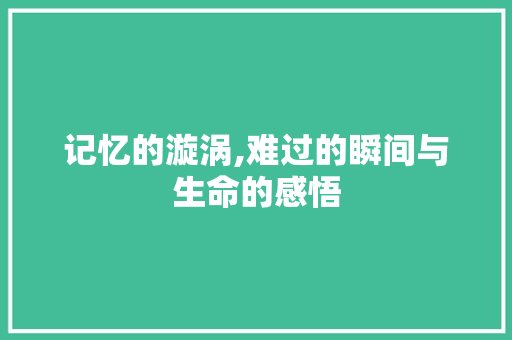 记忆的漩涡,难过的瞬间与生命的感悟