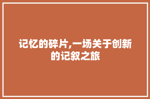 记忆的碎片,一场关于创新的记叙之旅