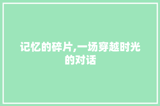 记忆的碎片,一场穿越时光的对话