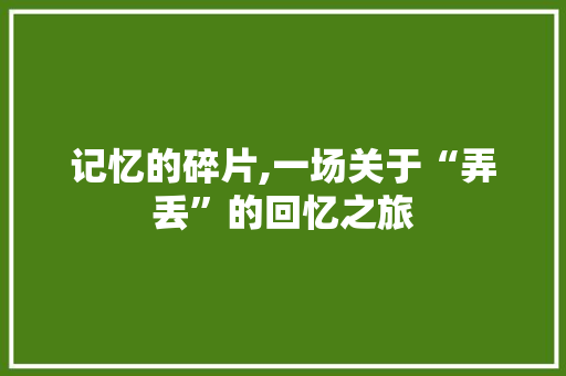 记忆的碎片,一场关于“弄丢”的回忆之旅