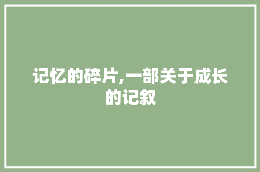 记忆的碎片,一部关于成长的记叙