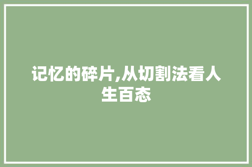 记忆的碎片,从切割法看人生百态