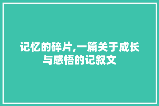 记忆的碎片,一篇关于成长与感悟的记叙文