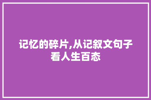 记忆的碎片,从记叙文句子看人生百态