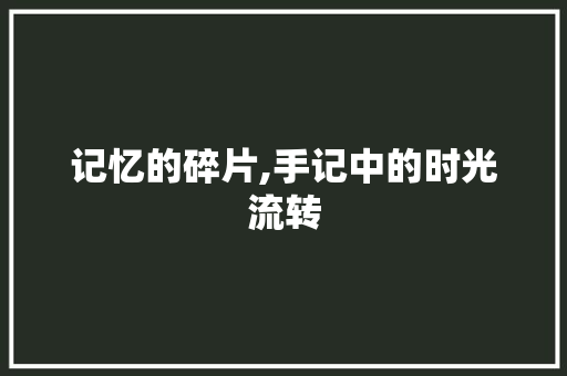 记忆的碎片,手记中的时光流转