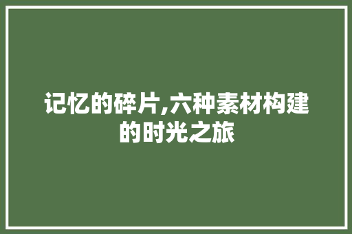 记忆的碎片,六种素材构建的时光之旅