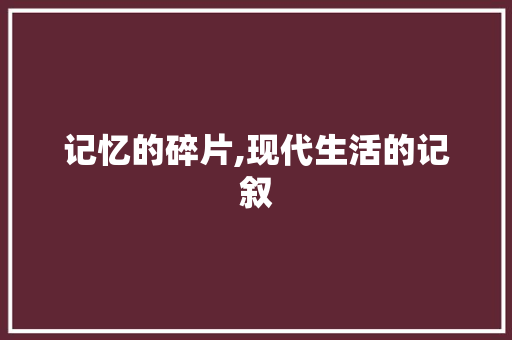 记忆的碎片,现代生活的记叙