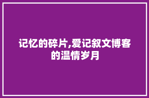 记忆的碎片,爱记叙文博客的温情岁月