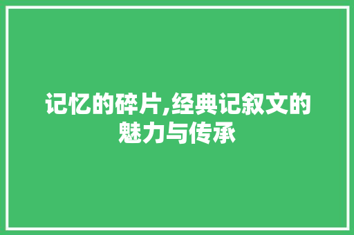 记忆的碎片,经典记叙文的魅力与传承