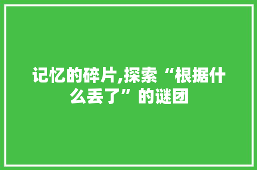 记忆的碎片,探索“根据什么丢了”的谜团