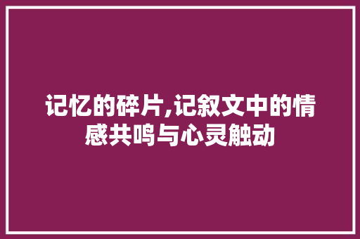 记忆的碎片,记叙文中的情感共鸣与心灵触动