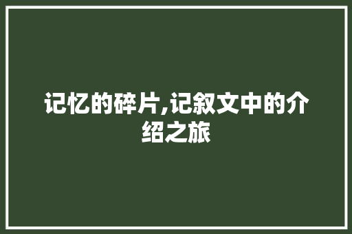 记忆的碎片,记叙文中的介绍之旅