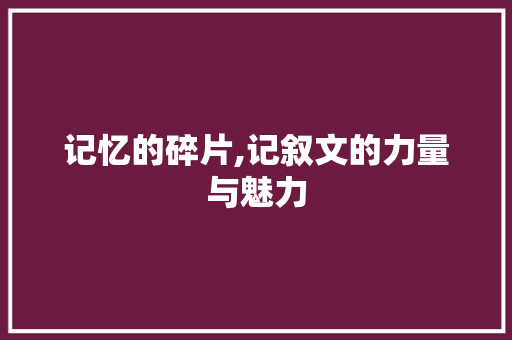 记忆的碎片,记叙文的力量与魅力