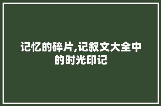 记忆的碎片,记叙文大全中的时光印记